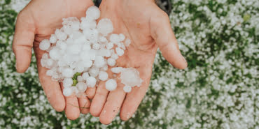 Elazığ’da dolu yağışı ekinlere zarar verdi Elazığ’da dolu yağışı ekinlere zarar verdi
