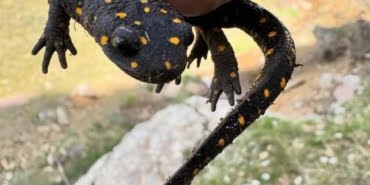 20240522aw209973-0-2