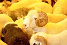 9b9d2210-12f1-461c-9cdd-14472a392786-2