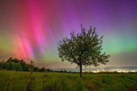 aw201920_02-1715428707-2