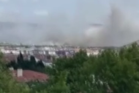 1085327177_0-374-565-692_1920x0_80_0_0_951a55a81a4c6de7e1f3daa4b4b5fdec