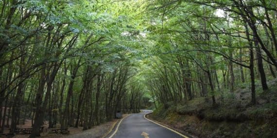 27 ilde girişler yasaklandı! İl il tarihler açıklandı 27 ilde girişler yasaklandı! İl il tarihler açıklandı