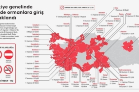 42-ilde-ormanlara-giris-yasaklandi-ormanlara-giris-piknik-ve-mangal-yapmak-yasaklandi-mi-iste-CkL8SGmw.jpg