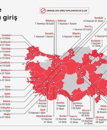 42-ilde-ormanlara-giris-yasaklandi-ormanlara-giris-piknik-ve-mangal-yapmak-yasaklandi-mi-iste-CkL8SGmw.jpg
