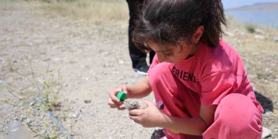 8 yaşındaki kızın, susuz kalan martı yavrusunu kurtarma mücadelesi yüreklere dokundu 8 yaşındaki kızın, susuz kalan martı yavrusunu kurtarma mücadelesi yüreklere dokundu