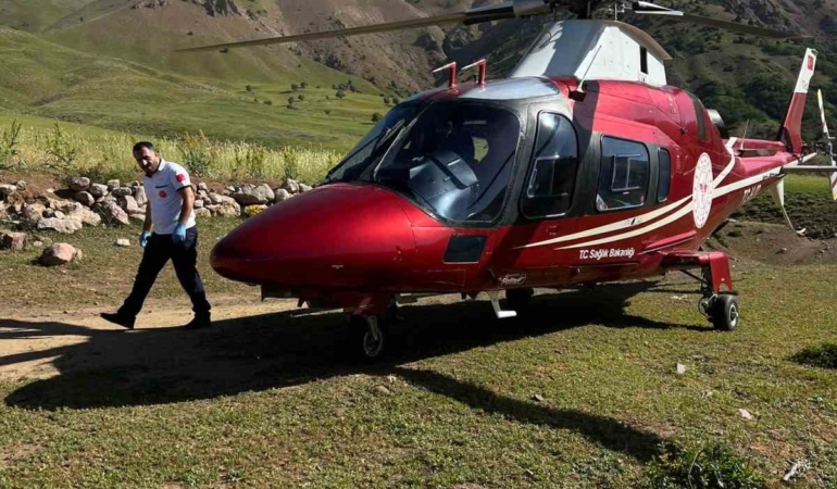 ari-sokmasi-nedeniyle-bilinc-kaybi-yasayan-vatandas-ambulans-helikopterle-erzuruma-sevk-edildi-MNmyv7ik.jpg