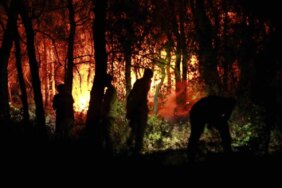 Aydın Kuşadası'ndaki Orman Yangını İlçe Merkezine Geldi (VİDEO) aydin-kusadasindaki-orman-yangini-ilce-merkezine-geldi-xXmYdhaf.jpg