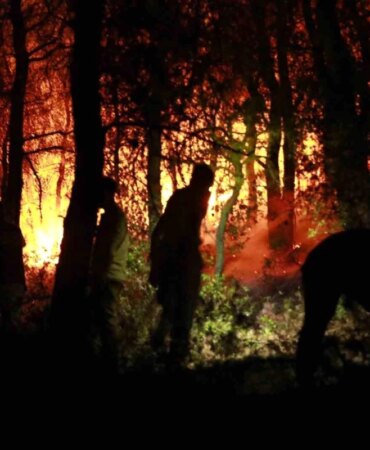 Aydın Kuşadası'ndaki Orman Yangını İlçe Merkezine Geldi (VİDEO) aydin-kusadasindaki-orman-yangini-ilce-merkezine-geldi-xXmYdhaf.jpg