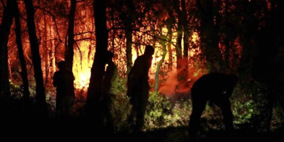 Aydın Kuşadası’ndaki Orman Yangını İlçe Merkezine Geldi (VİDEO)
