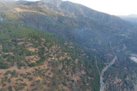 Aydın'da çıkan orman yangını denetim altına alındı aydinda-cikan-orman-yangini-denetim-altina-alindi-uZkKlmsY.jpg