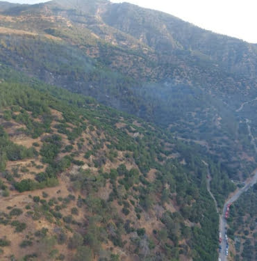 Aydın'da çıkan orman yangını denetim altına alındı aydinda-cikan-orman-yangini-denetim-altina-alindi-uZkKlmsY.jpg