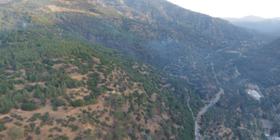 Aydın’da çıkan orman yangını denetim altına alındı