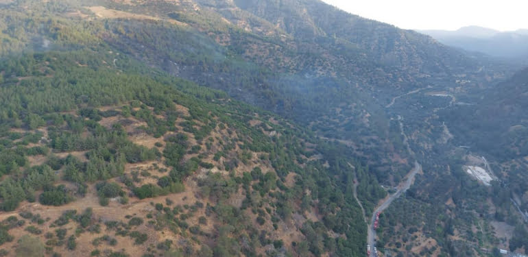 aydinda-cikan-orman-yangini-denetim-altina-alindi-uZkKlmsY.jpg