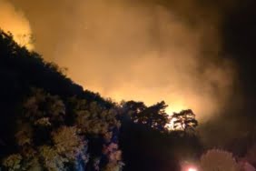 Aydın'da orman yangını: Ekipler müdahale ediyor aydinda-orman-yangini-ekipler-mudahale-ediyor-7BMRG9AB.jpg