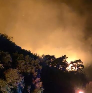 Aydın'da orman yangını: Ekipler müdahale ediyor aydinda-orman-yangini-ekipler-mudahale-ediyor-7BMRG9AB.jpg