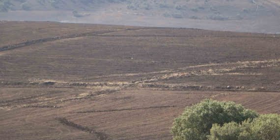 Diyarbakır’da 3 kişinin öldüğü, 11 kişinin yaralandığı örtü yangınının boyutu gün ağarınca ortaya çıktı
