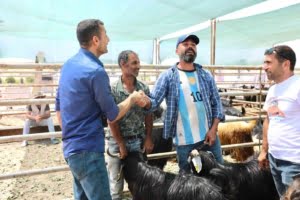 elazigda-kurban-satis-ve-kesim-noktasinda-hazirliklar-tamamlandi-g95ihI4W.jpg