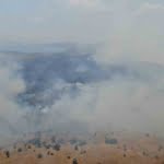 Elazığ’da orman yangını: Ekiplerin havadan ve karadan müdahalesi sürüyor elazigda-orman-yangini-ekiplerin-havadan-ve-karadan-mudahalesi-suruyor-4ppKnrfF.jpg