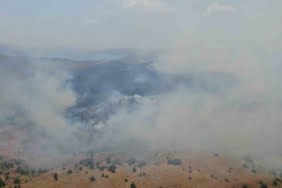 elazigda-orman-yangini-ekiplerin-havadan-ve-karadan-mudahalesi-suruyor-4ppKnrfF.jpg