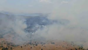 elazigda-orman-yangini-ekiplerin-havadan-ve-karadan-mudahalesi-suruyor-4ppKnrfF.jpg