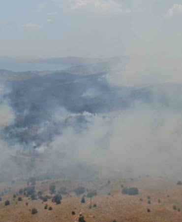 elazigda-orman-yangini-ekiplerin-havadan-ve-karadan-mudahalesi-suruyor-4ppKnrfF.jpg