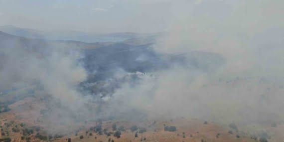 Elazığ’da orman yangını: Ekiplerin havadan ve karadan müdahalesi sürüyor Elazığ’da orman yangını: Ekiplerin havadan ve karadan müdahalesi sürüyor