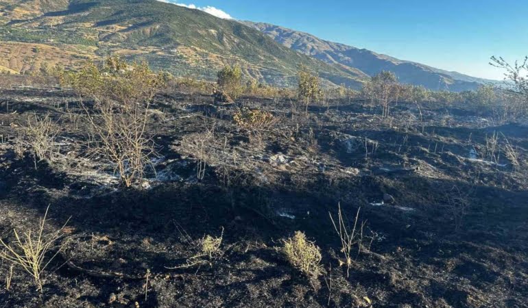 elazigda-yangin-4-kisi-yaralandi-yuzlerce-kayisi-agaci-yandi-6Fcf8MUV.jpg