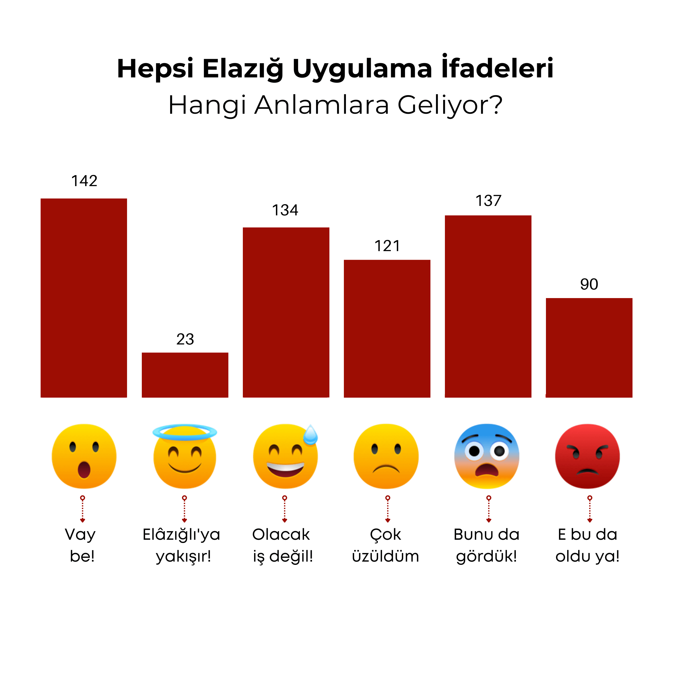 Hepsi Elazığ uygulama ifadeleri hangi anlamlara geliyor?