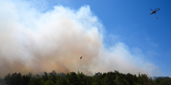 İzmir’in Menderes ilçesindeki orman yangını: Çamönü Mahallesi tahliye ediliyor (VİDEO) İzmir’in Menderes ilçesindeki orman yangını: Çamönü Mahallesi tahliye ediliyor (VİDEO)