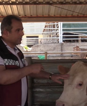 kurban-bayrami-oncesi-hayvan-pazarinda-denetim-uEkbVpEW.jpg