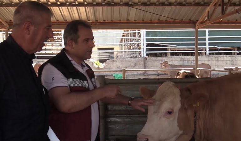 kurban-bayrami-oncesi-hayvan-pazarinda-denetim-uEkbVpEW.jpg