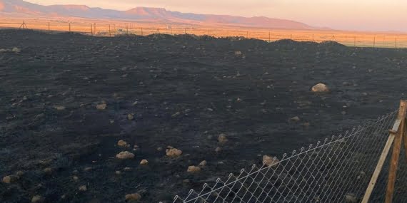 Mardin’de 9 farklı noktada yangınlar çıktı