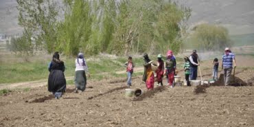 mevsimlik-tarim-calisanlari-tarlalarda-riziklarini-cikariyor-H7NMmHIi.jpg