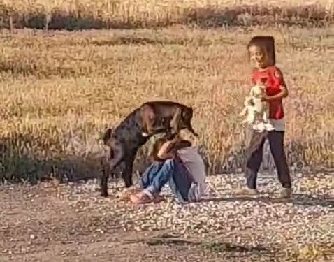 oglagin-cocuklarla-oyunu-gulumsetti-zJcsdzZZ.jpg