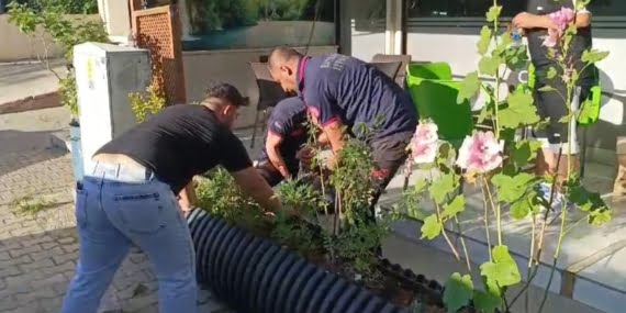 Saksının altına sıkışan ’Boncuk’ için seferber oldular Saksının altına sıkışan ’Boncuk’ için seferber oldular
