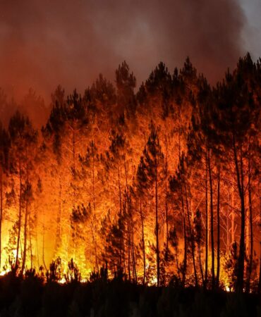 Orman yangınlarını önlemek için dikkat etmemiz gereken 5 kural