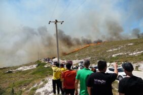 İzmir, Manisa ve Çanakkale'de Orman Yangınları: 3 Kişi Hayatını Kaybetti Yangın