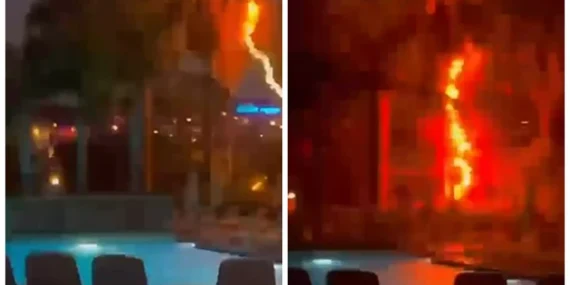 Ağaca düşen yıldırım kamerada… (VİDEO)