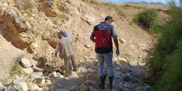 bir-koyun-ucurumdan-atlayinca-digerleri-de-pesinden-kostu-43-hayvan-telef-oldu-nwPxi2ur.jpg