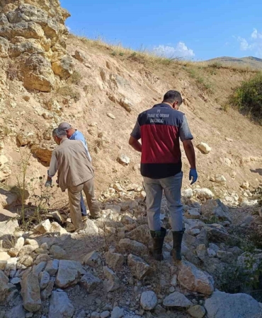 bir-koyun-ucurumdan-atlayinca-digerleri-de-pesinden-kostu-43-hayvan-telef-oldu-nwPxi2ur.jpg