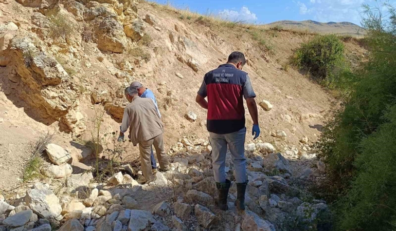 bir-koyun-ucurumdan-atlayinca-digerleri-de-pesinden-kostu-43-hayvan-telef-oldu-nwPxi2ur.jpg