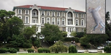 bogazici-universitesinde-basi-kesilmis-halde-yavru-kedi-bulundu-pPv8Yvuv.jpg
