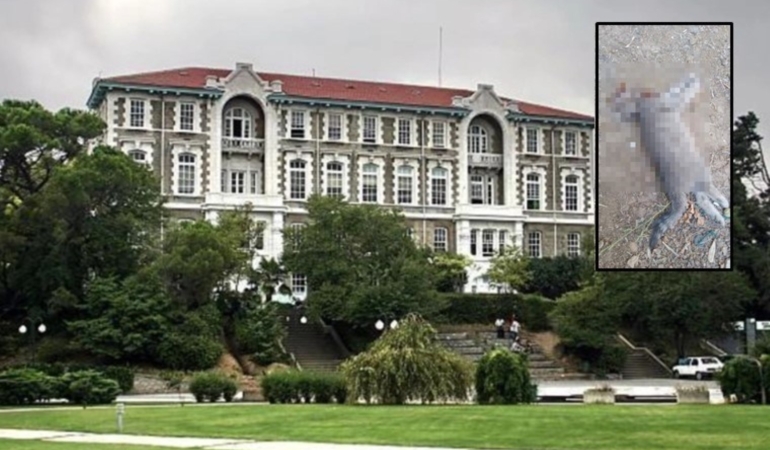 bogazici-universitesinde-basi-kesilmis-halde-yavru-kedi-bulundu-pPv8Yvuv.jpg