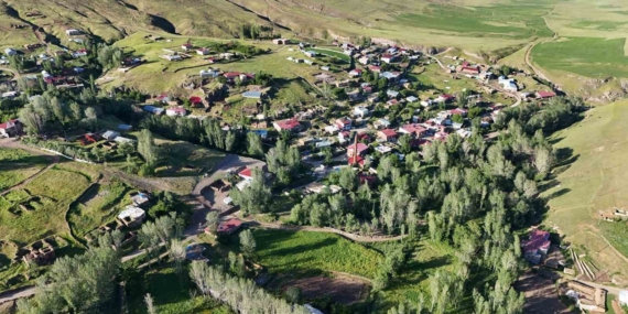 Bitlis'in Sınırları Genişledi: Mahkeme Kararıyla Muş'tan 1270 Dönüm Alan Kazandı Bitlis’in Sınırları Genişledi: Mahkeme Kararıyla Muş’tan 1270 Dönüm Alan Kazandı