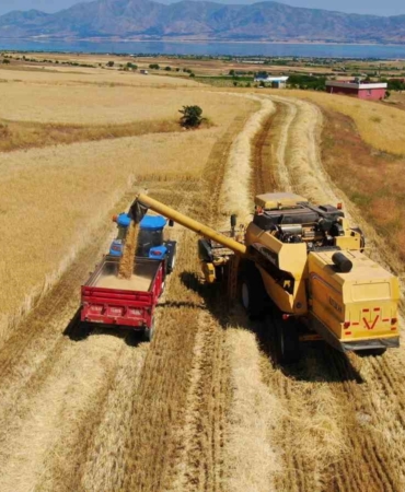 elazigda-900-bin-dekar-alanda-hasat-yapilmasi-bekleniyor-EKL7zcuq.jpg