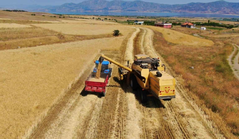 elazigda-900-bin-dekar-alanda-hasat-yapilmasi-bekleniyor-EKL7zcuq.jpg