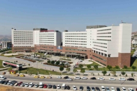 elazigda-ahira-giren-bir-kisi-yilanin-sokmasi-sonucu-hastaneye-kaldirildi-eGp6xBIJ.jpg
