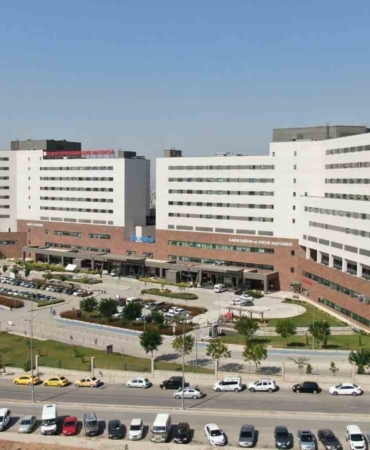 elazigda-ahira-giren-bir-kisi-yilanin-sokmasi-sonucu-hastaneye-kaldirildi-eGp6xBIJ.jpg