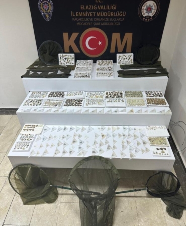 elazigda-polis-arac-aramasinda-bin-472-adet-endemik-kelebek-ele-gecirdi-pDNQ1DWE.jpg