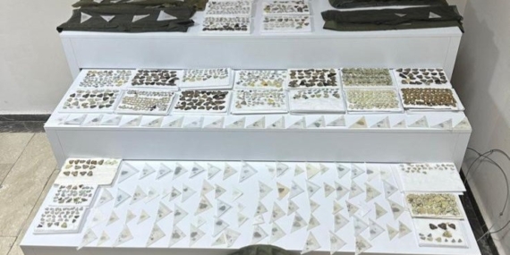 Elazığ’da Polis Araç Aramasında Bin 472 Adet Endemik Kelebek Ele Geçirdi